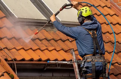 Démoussage et hydrofuge de toiture à Démuin